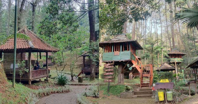 Instagram.com/officialgrafika